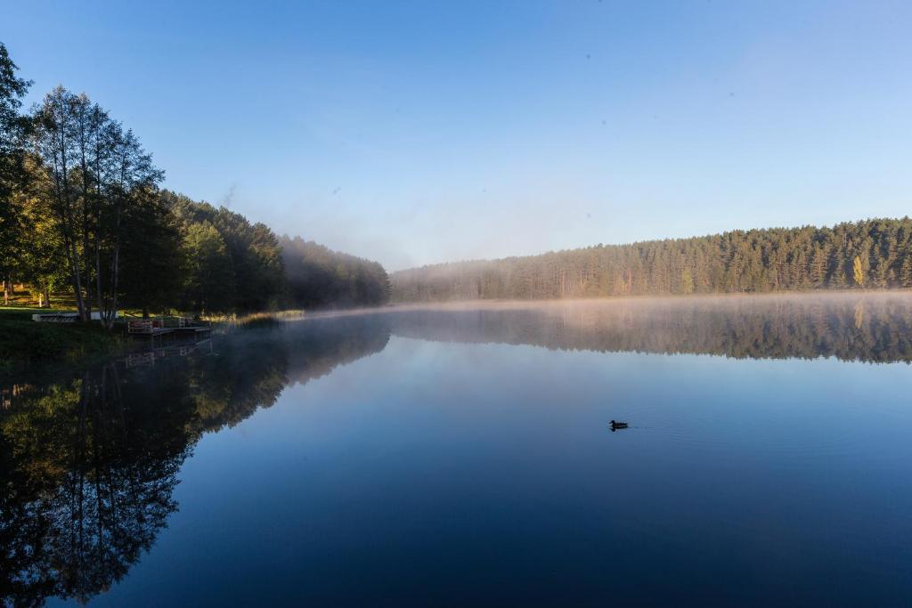 Zuvedra Hotell Ignalina Exteriör bild